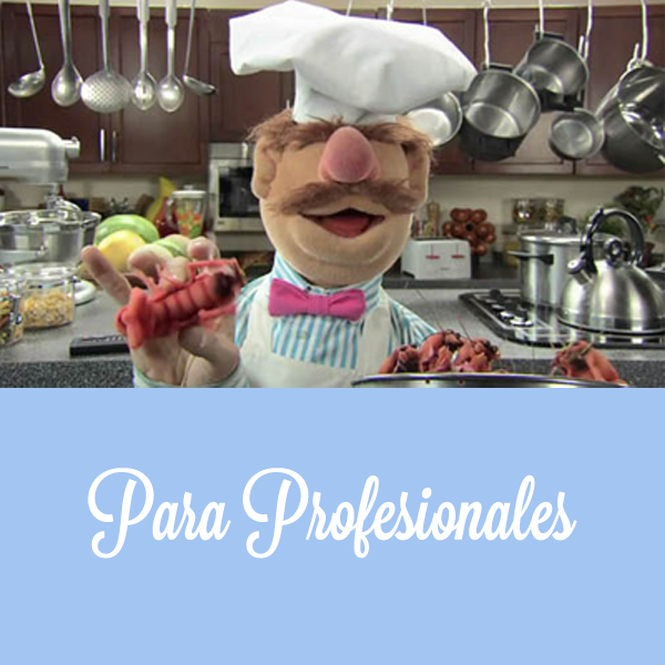 servicios web para restaurantes y profesionales hostelería
